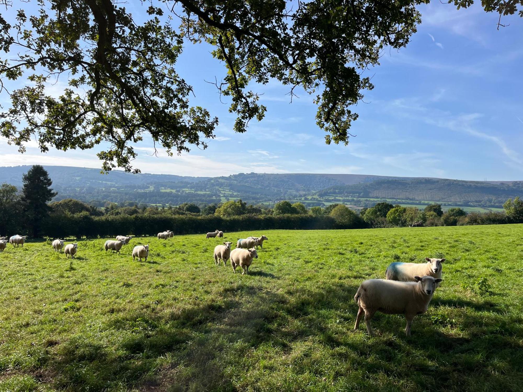 The Cottage Abergavenny ภายนอก รูปภาพ