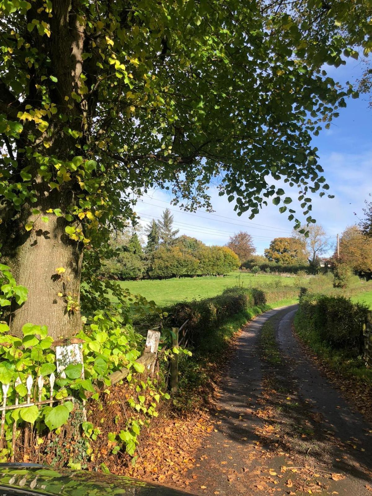 The Cottage Abergavenny ภายนอก รูปภาพ