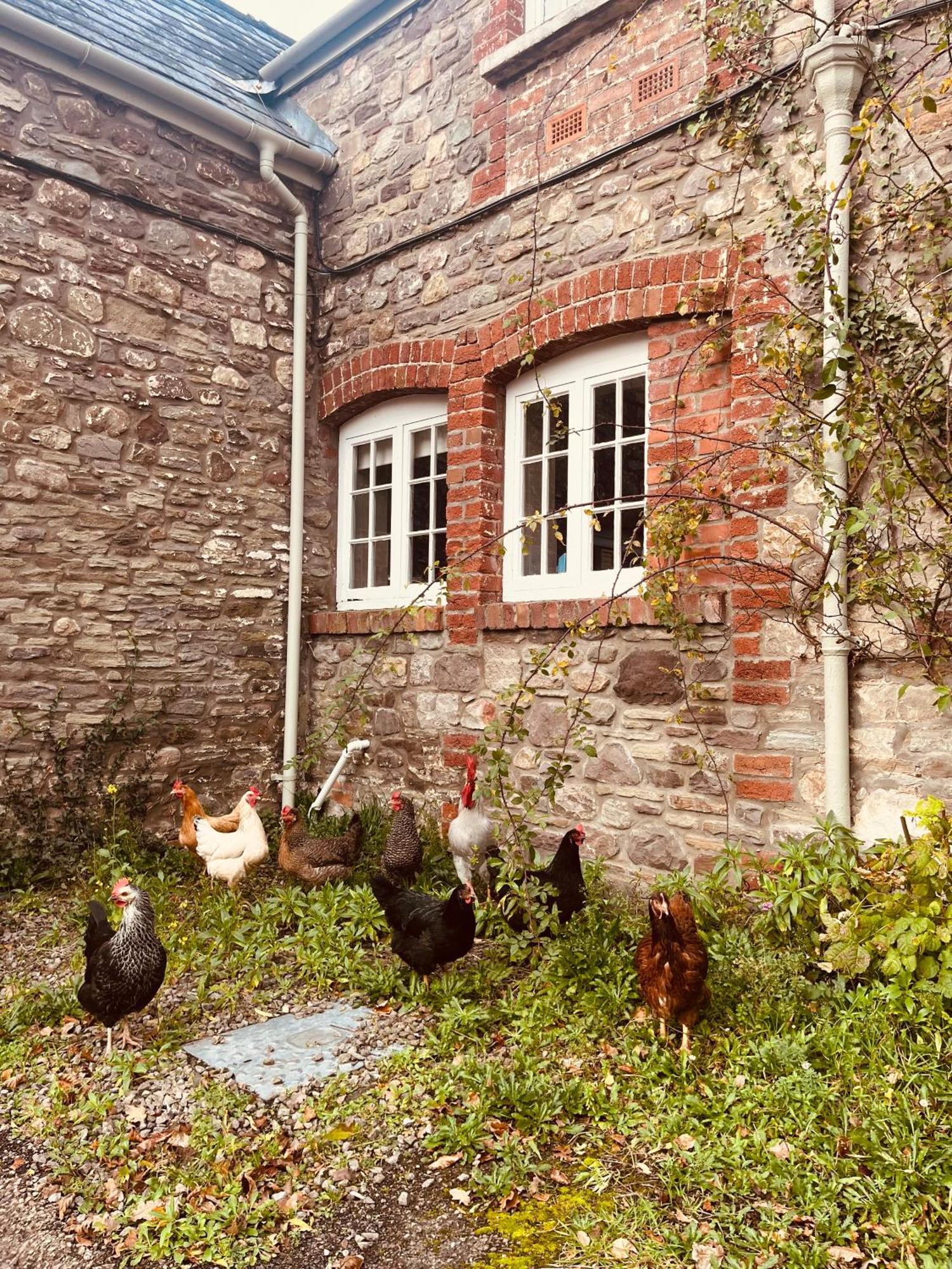 The Cottage Abergavenny ภายนอก รูปภาพ